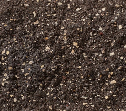 Cocoa Bean (12-060A) preload