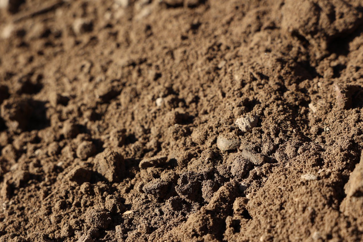 Screened Top Soil